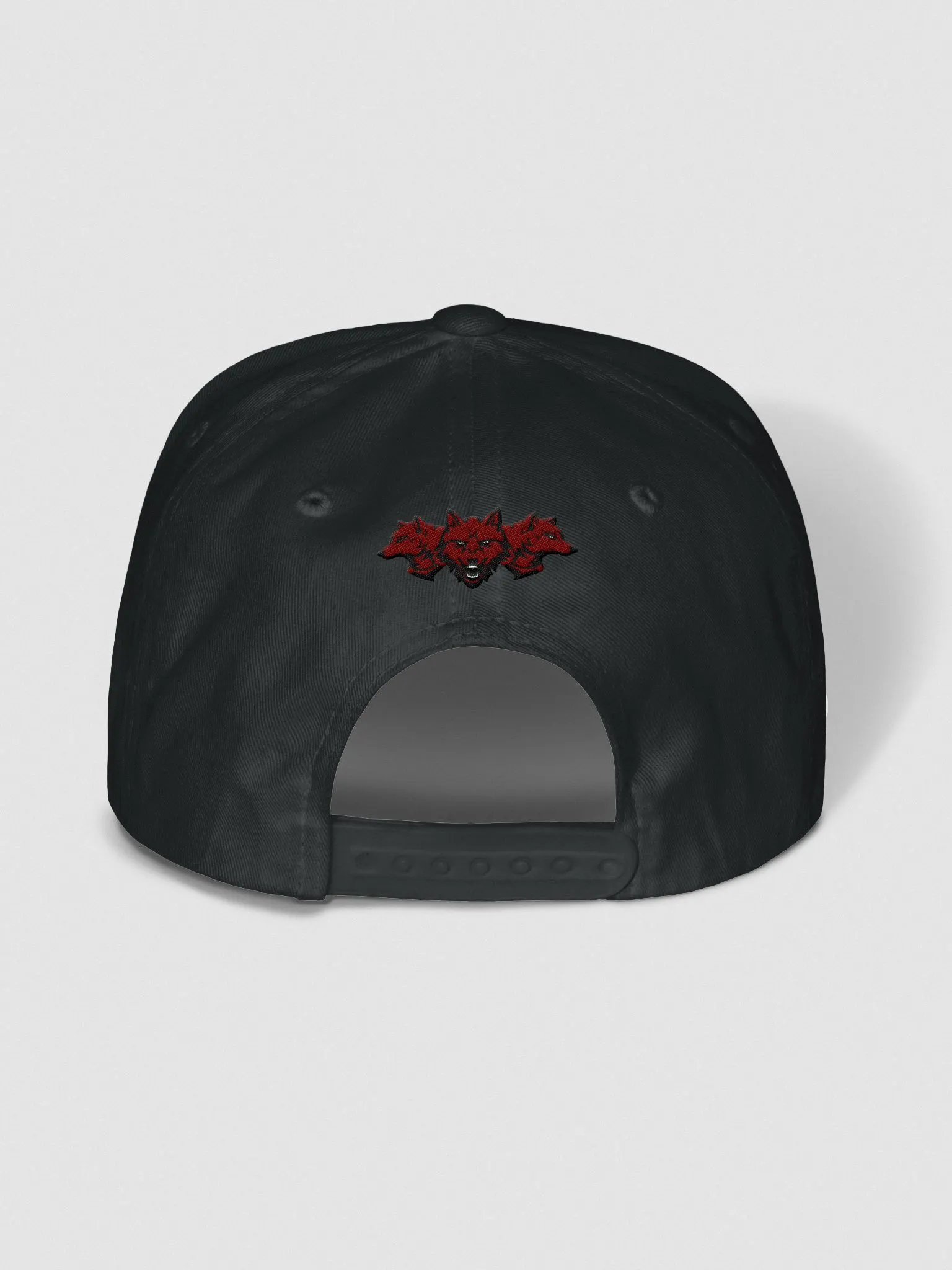 Reverse Logo Hat product image (4)