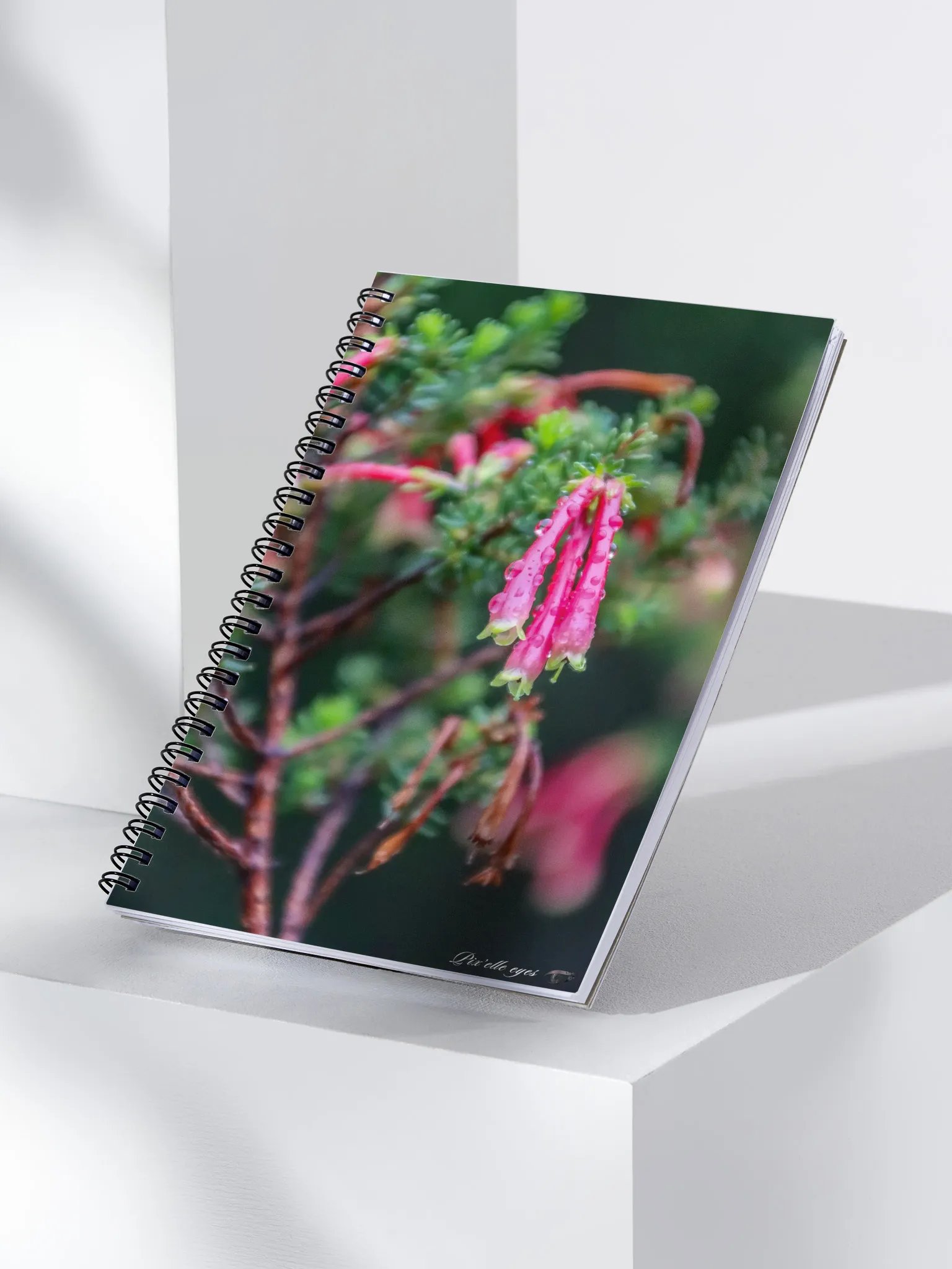 📓 Notebook Collection PURE – Jardin du Rayol – Erica Discolor product image (3)