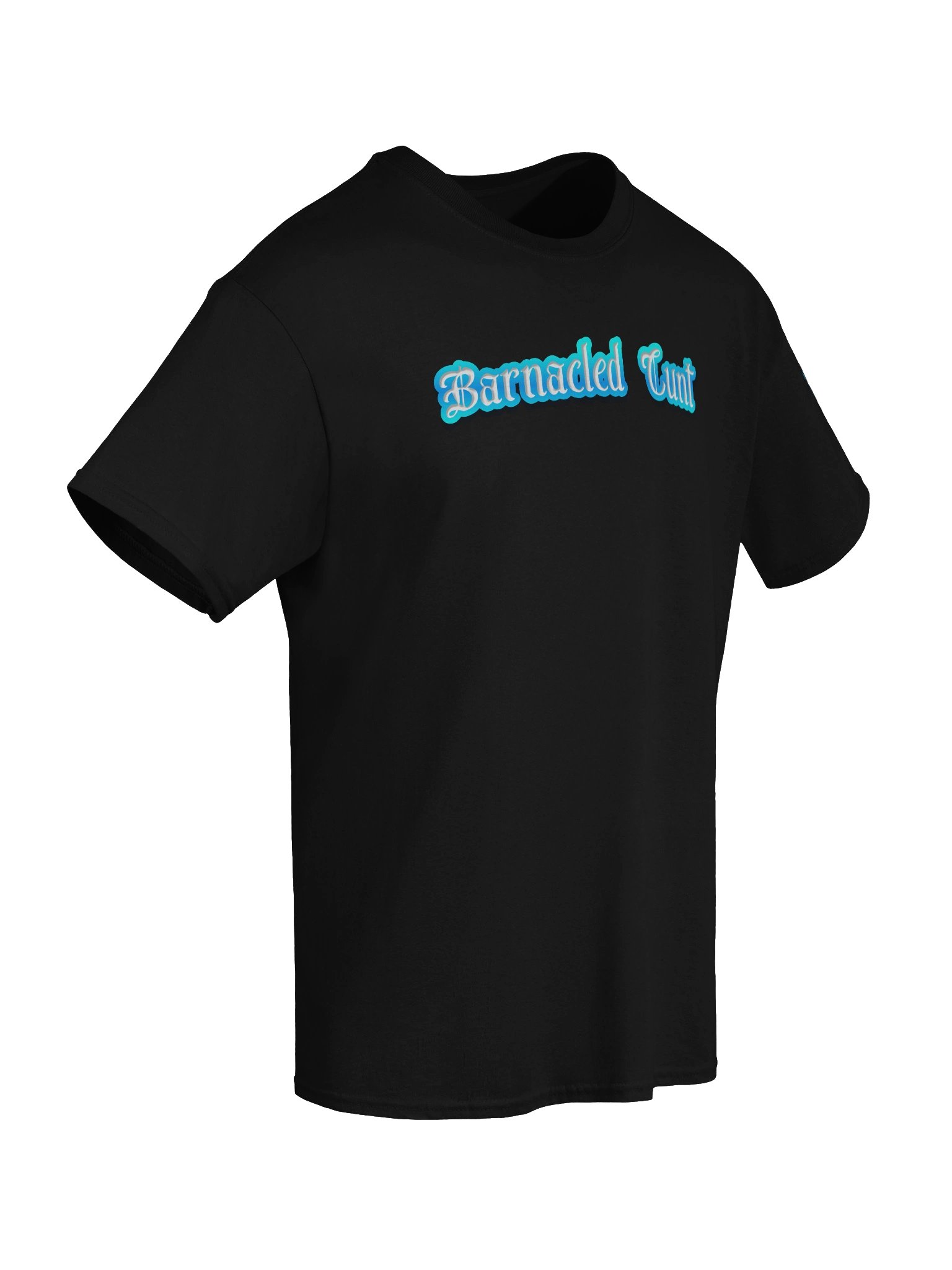 Barnacled Cunt — Gildan Heavyweight Gothic Streetwear Tee product image (50)