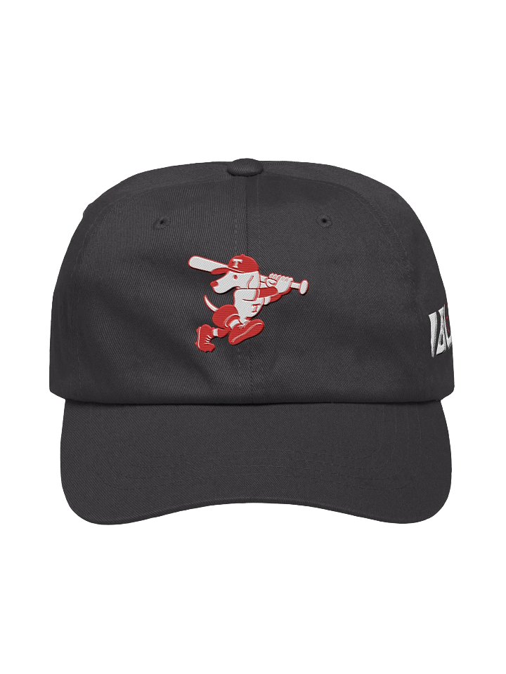 Galt Terriers Dad Hat product image (4)