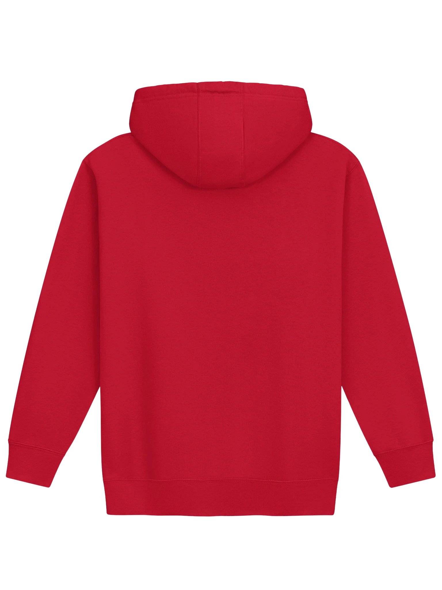 Ditisnietjeff | Unisex Premium Hoodie product image (57)