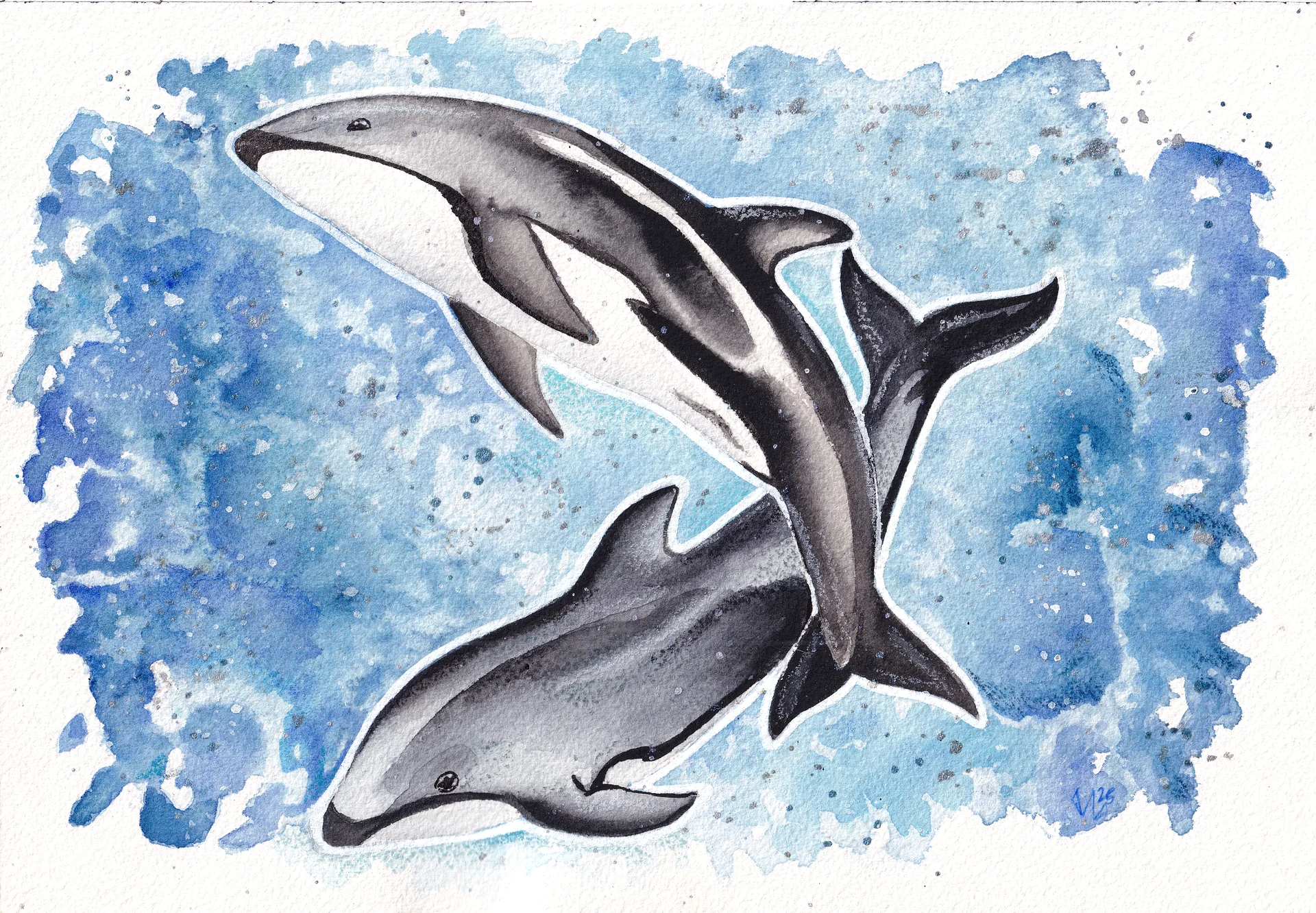 Pacific Whitesided Dolphin Watercolor product image (1)