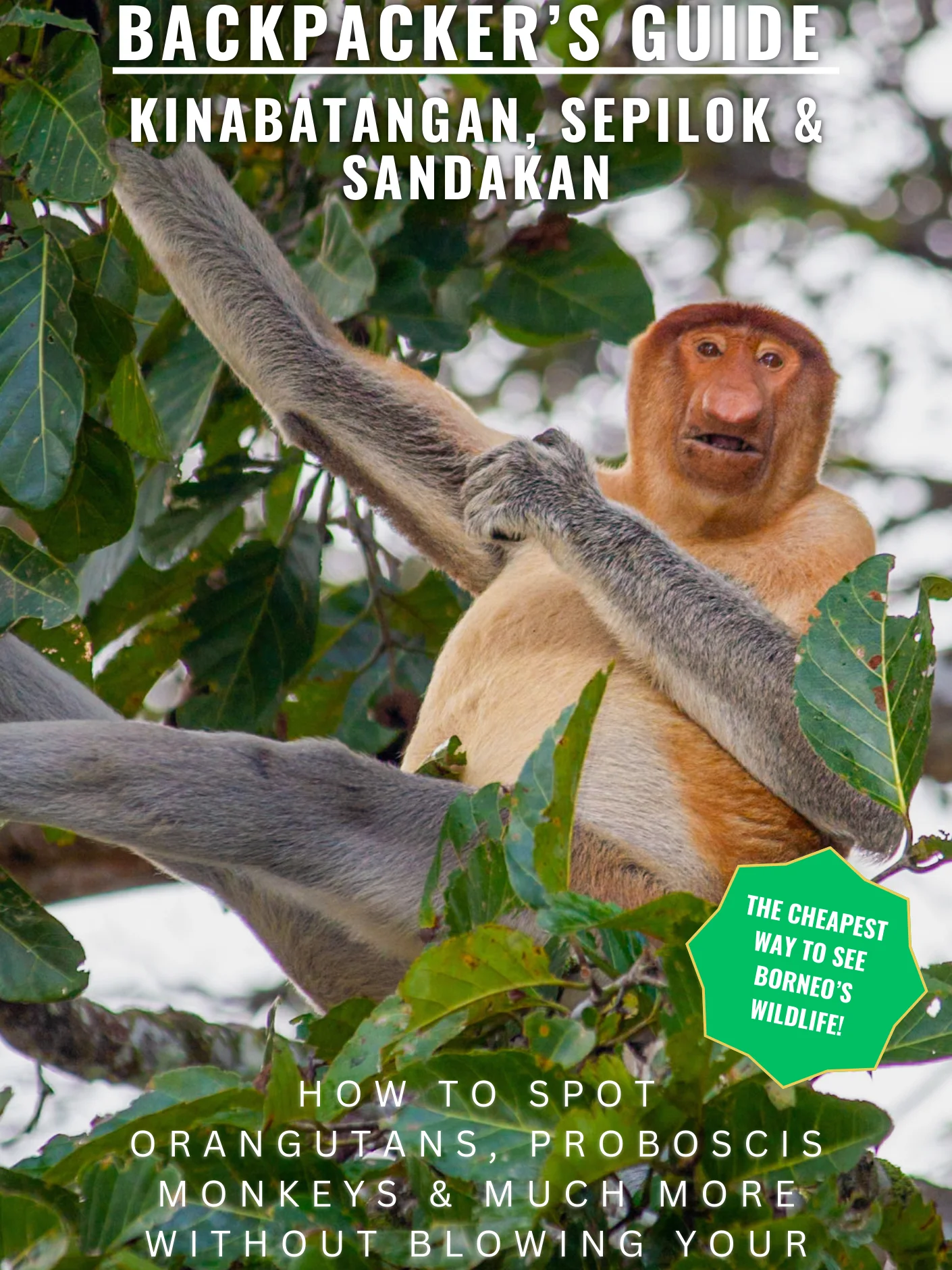 Backpacker’s Guide to Kinabatangan, Sepilok & Sandakan product image (1)