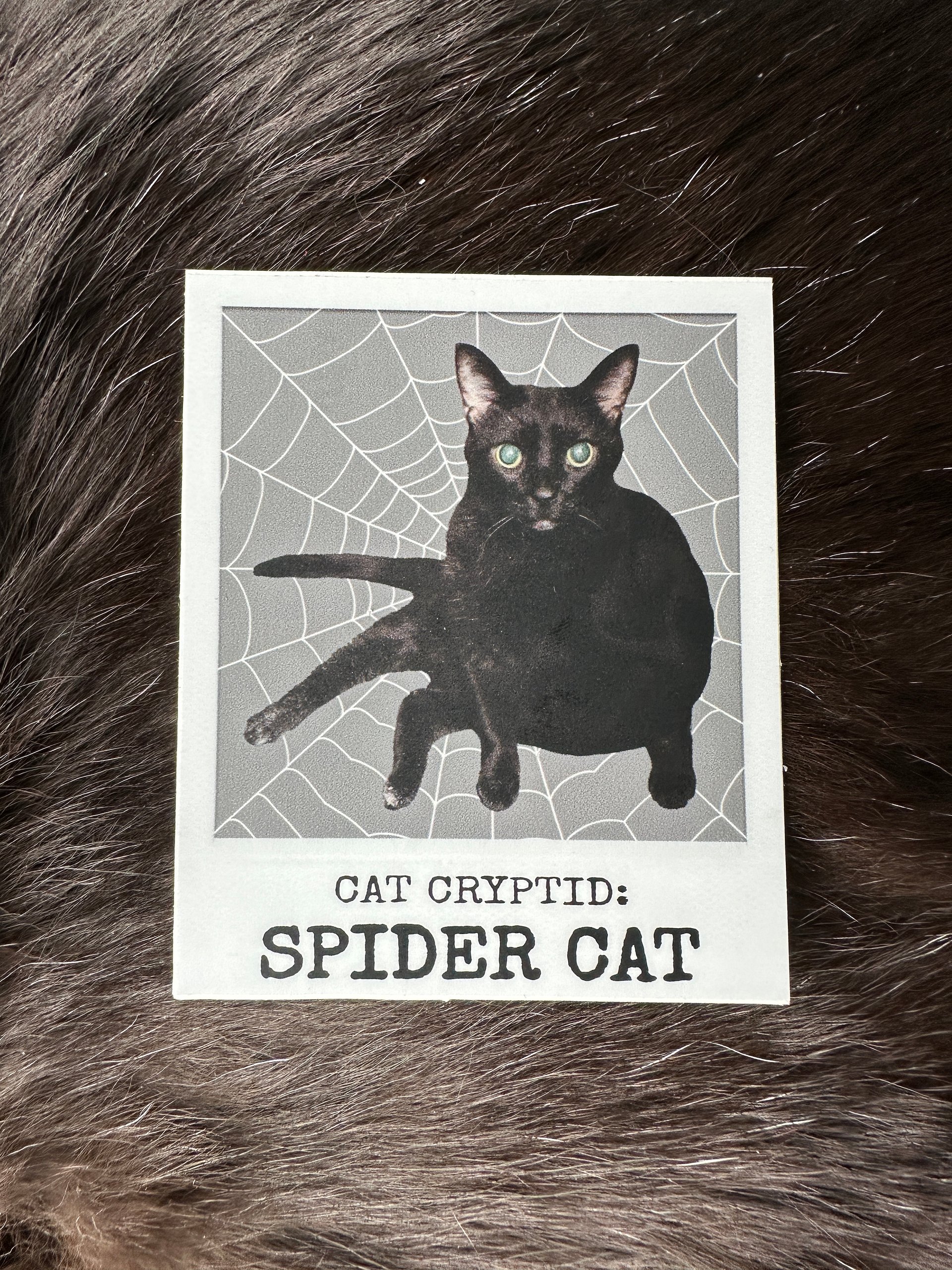 Spidercat cat cryptid sticker product image (1)