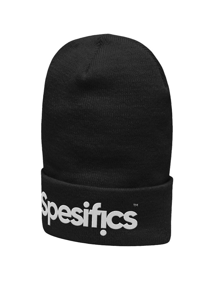 Spesifics Logo Beanie product image (2)