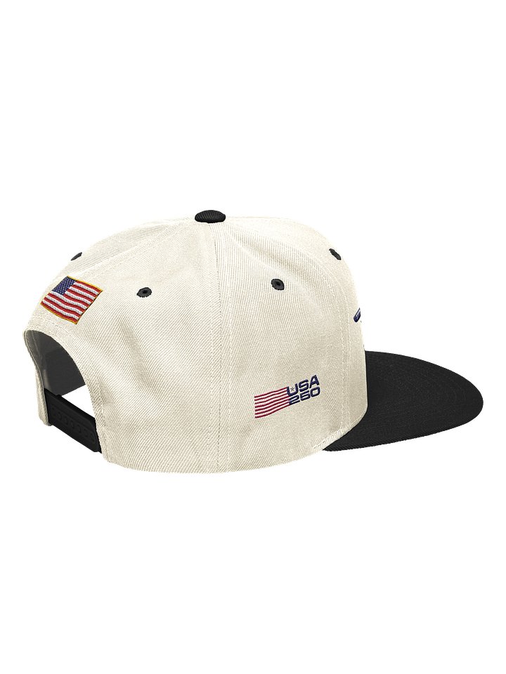 USA250 Winged Logo Two Tone Cap product image (2)