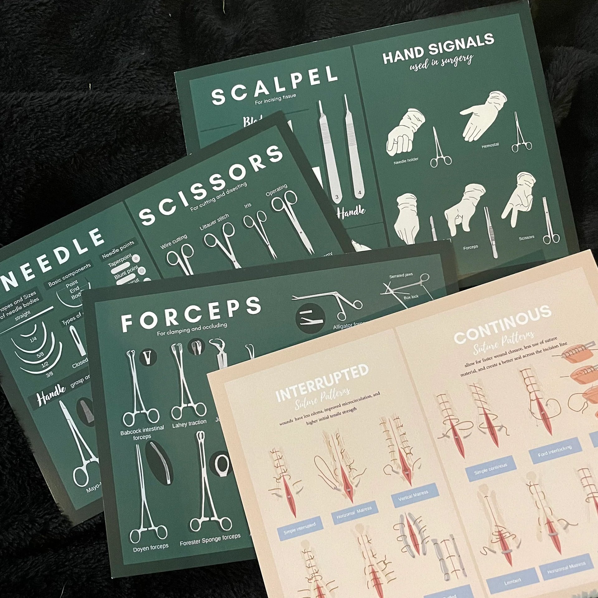 Veterinary Flash Cards product image (2)