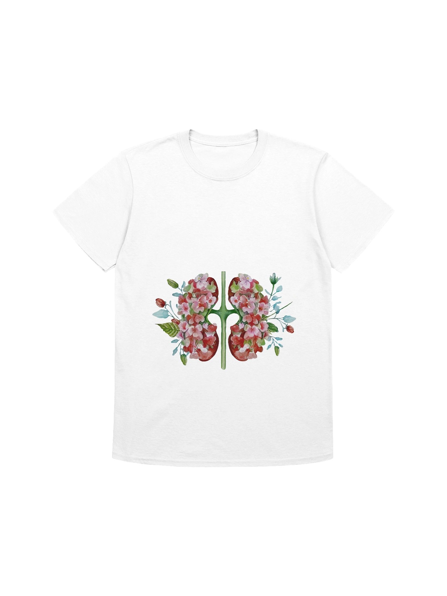 Botanical Anatomy Kidney Illustration product image (1)