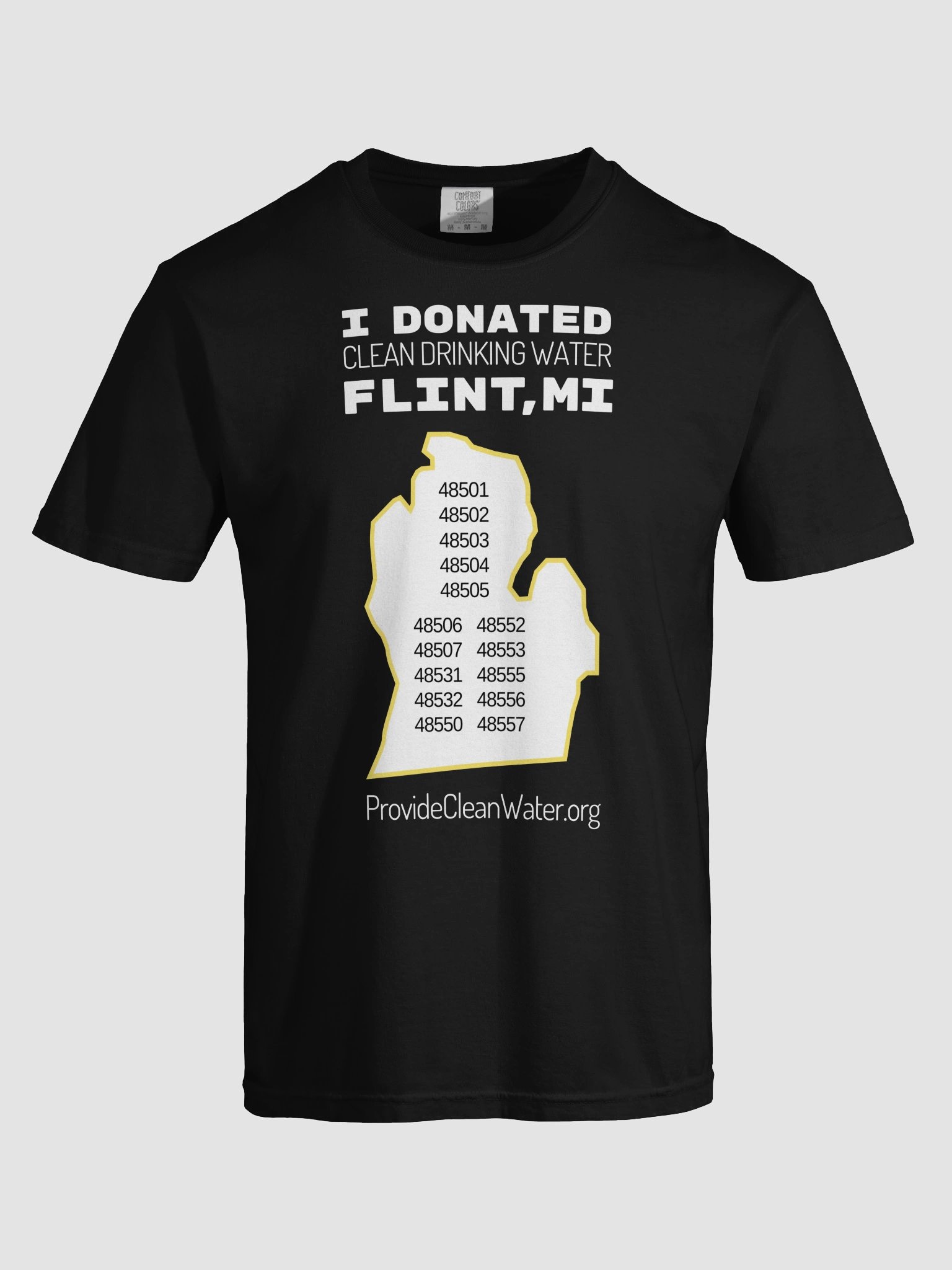 I Donated Flint, MI Color T-Shirt product image (7)