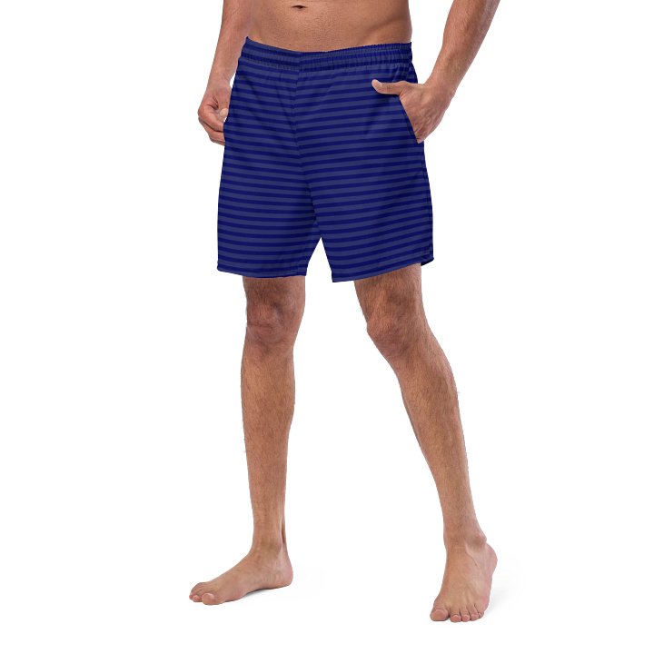 Ocean Blue Striped Swim Trunks product image (2)