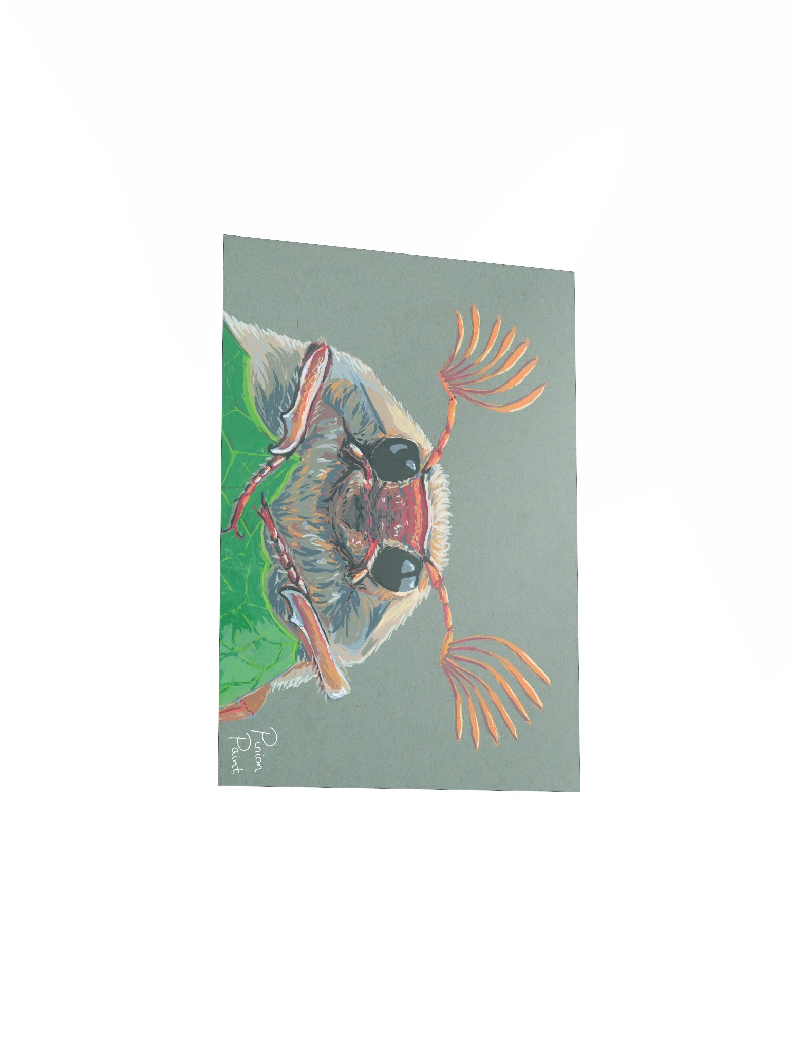 Cockchafer print product image (5)