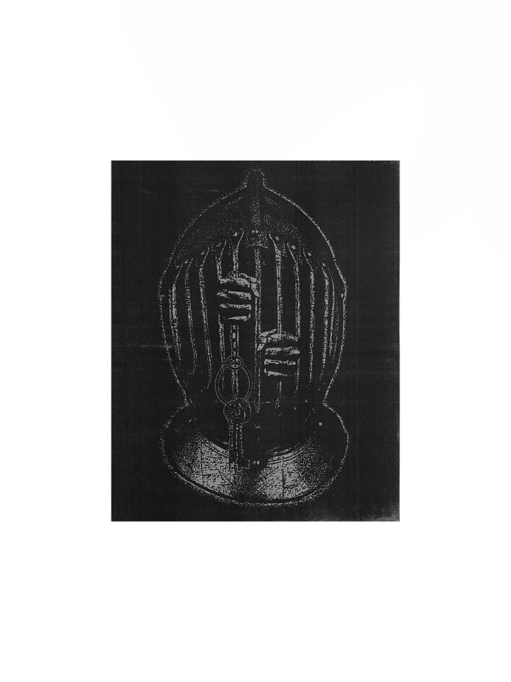 THE CAGE PRINT product image (1)