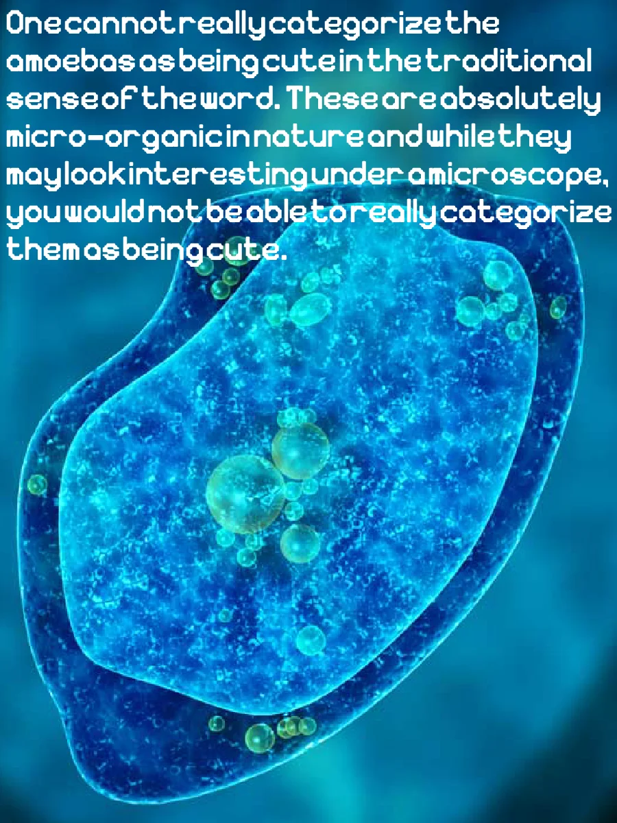 Sarcodina font product image (8)
