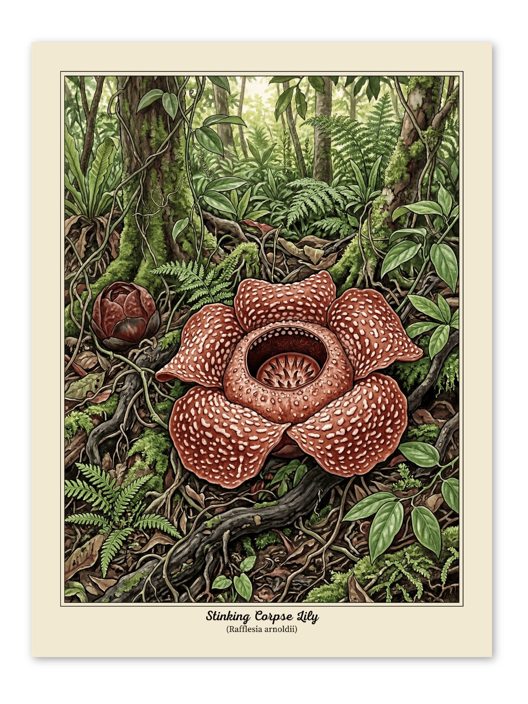 Corpse Lily Poster product image (1)