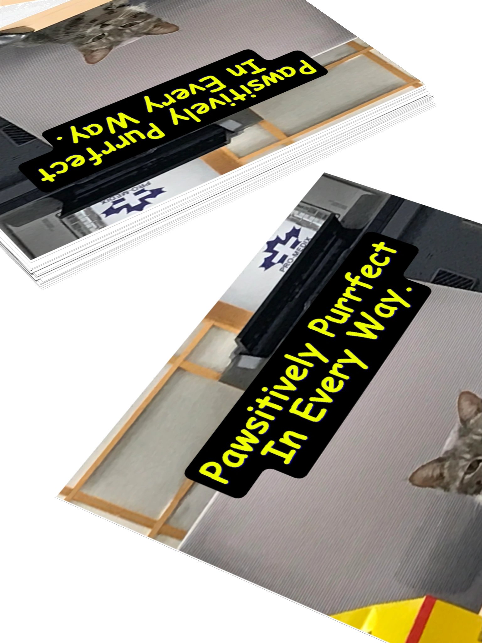 Pawsitively Purrfect Sticker product image (4)