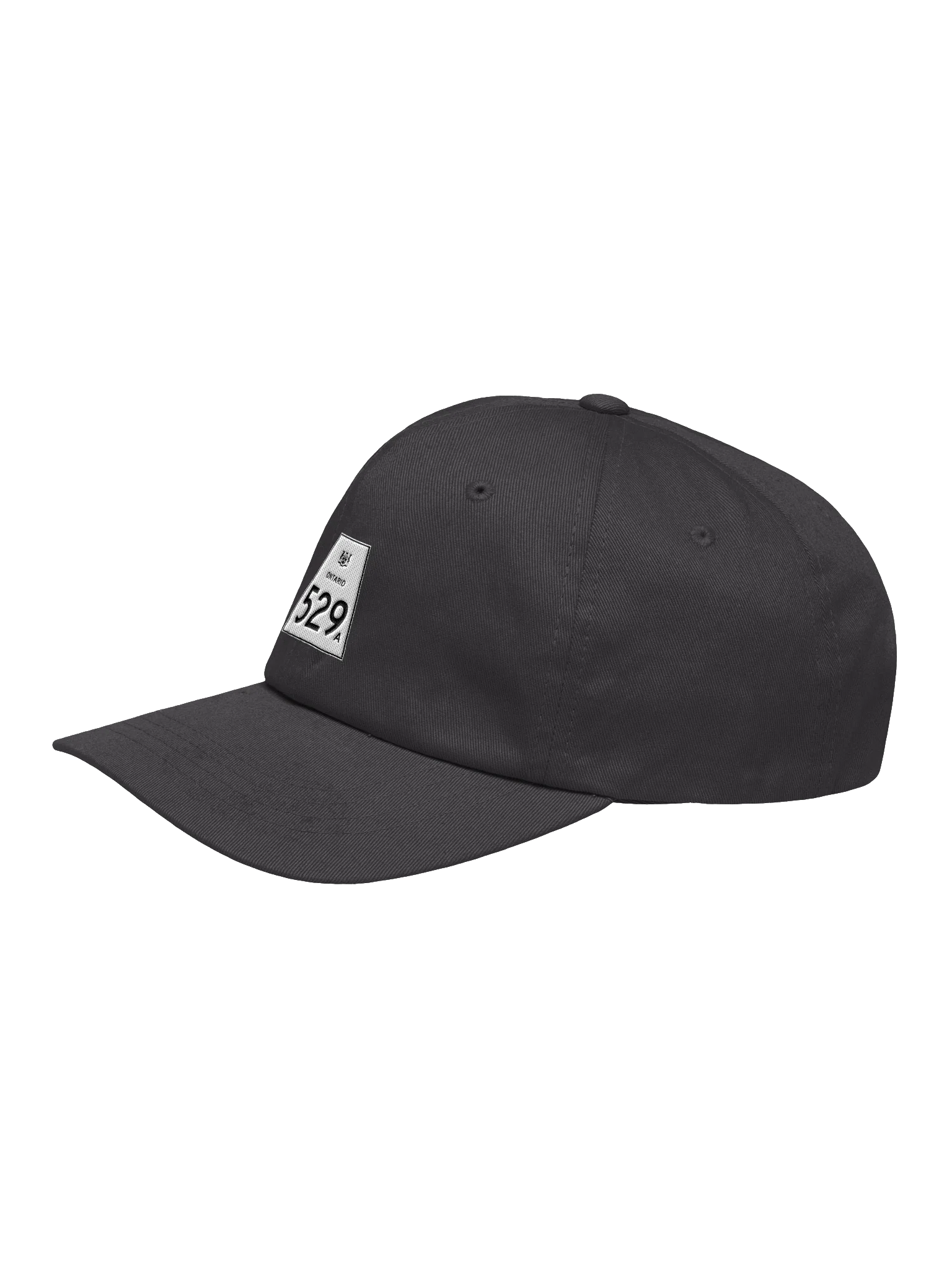 529A Dad Hat product image (19)