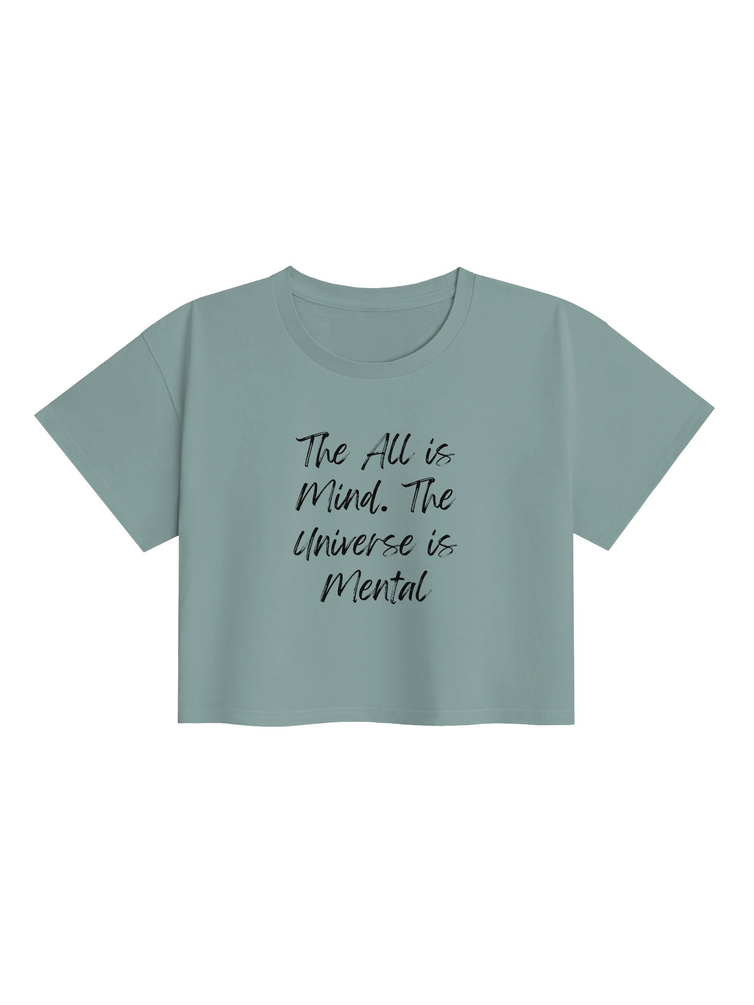 The All is Mind. The Universe is Mental product image (1)