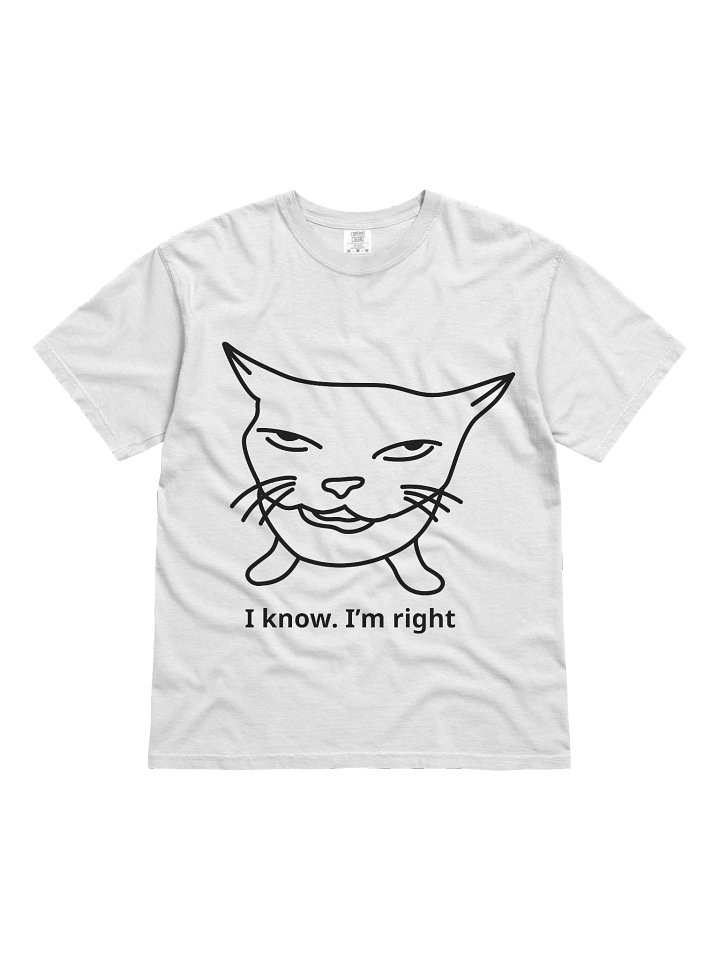 I Know. I’m Right. Shirt – Funny Smug Cat Meme Graphic Tee, Sarcastic Confidence T-Shirt, Unisex Humor Top product image (1)