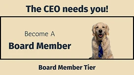 Board Member tier thumbnail