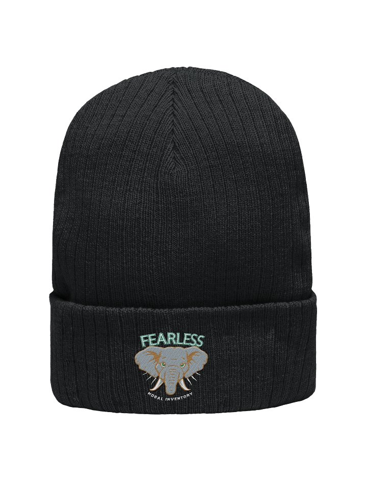 Fearless Moral Inventory Animal Lovers AA Recovery Beanie Hat Green Design product image (1)