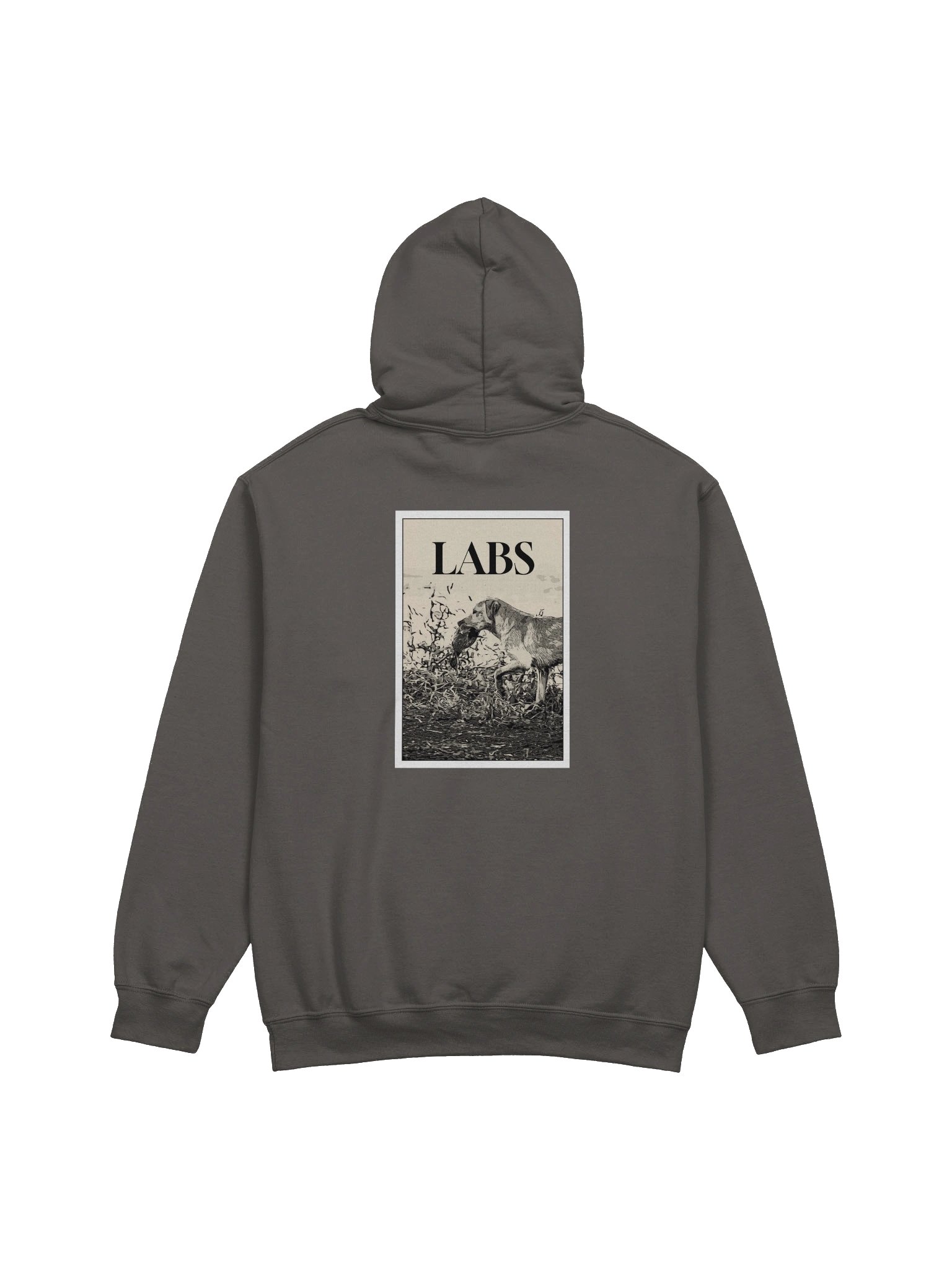 LABS Hoodie product image (1)