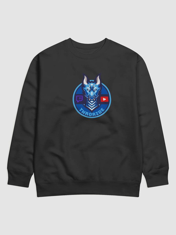 sweater New merch 2025 product image (1)