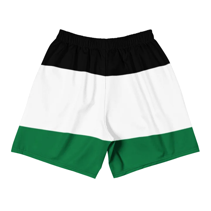 Palestine Flag Unisex Shorts product image (2)
