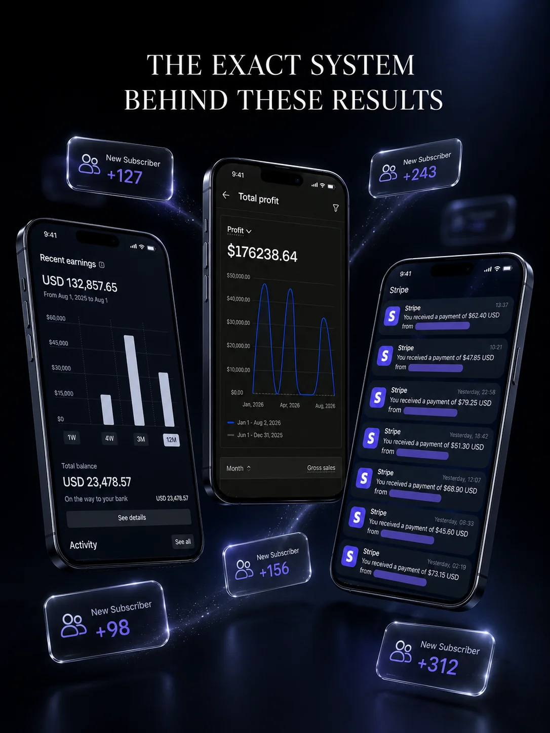 Newsletter Monetization System product image (7)