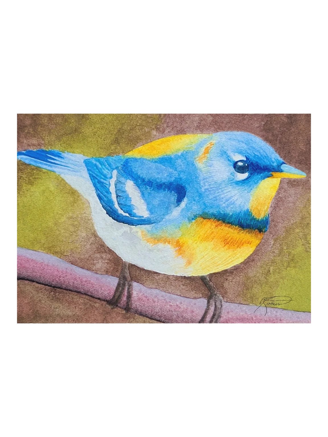 Northern Parula (2026) - Watercolour Print product image (1)