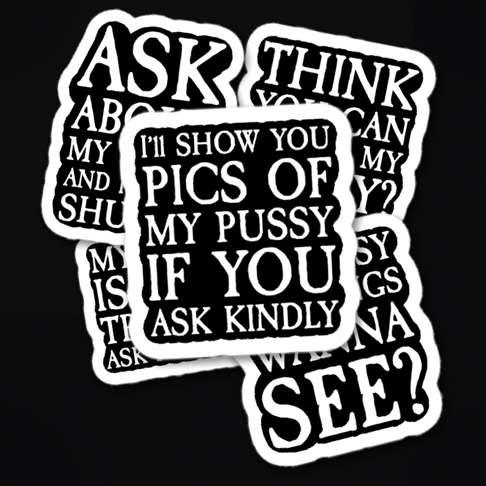 The Filthy Five - 5 Funny Cat Vinyl Stickers Bundle product image (1)