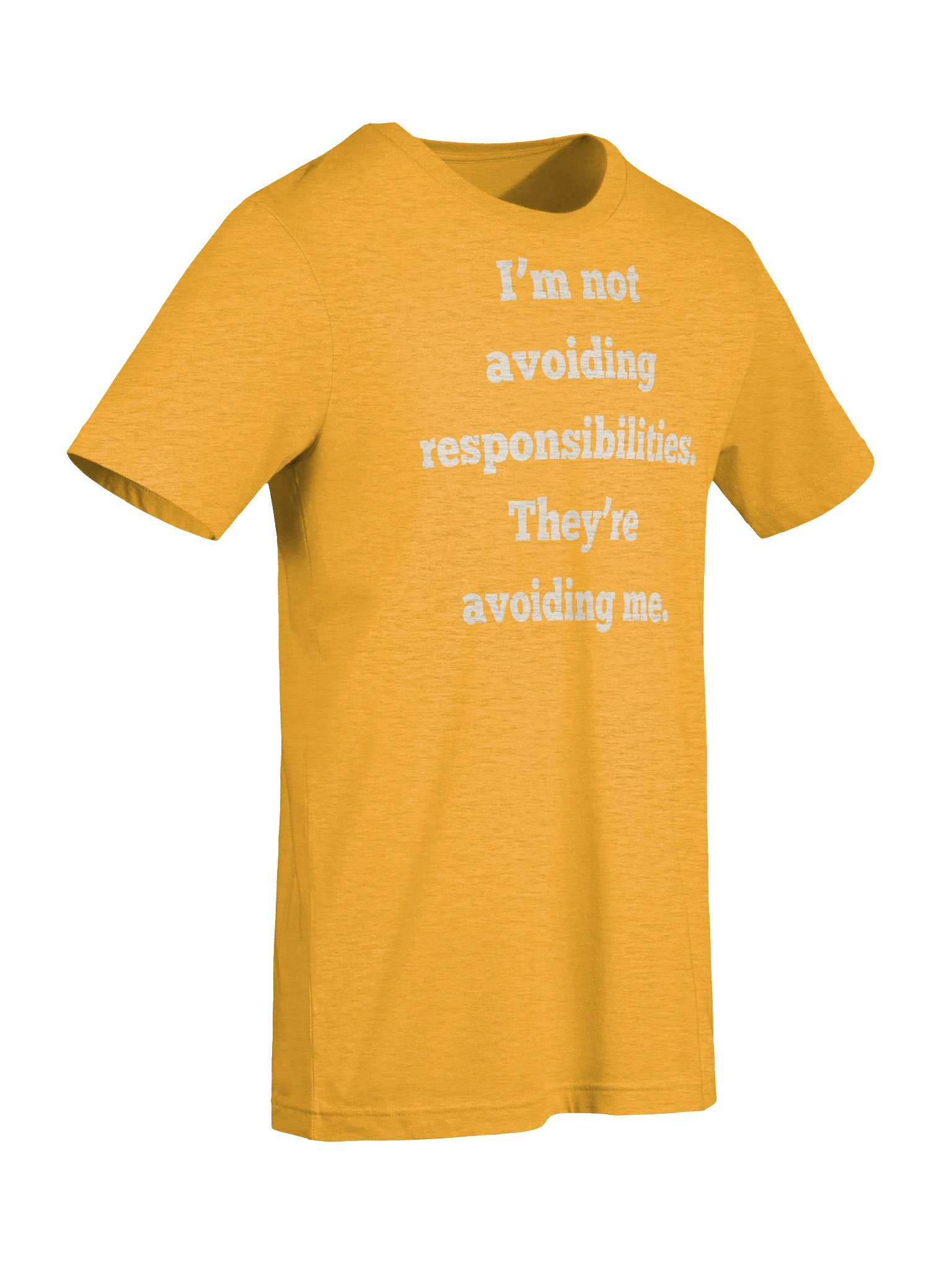I'm Not Avoiding Responsibilities Funny T-Shirt | Sarcastic Quote Tee | Bella Canvas 3001 | Gift for Him Her product image (9)