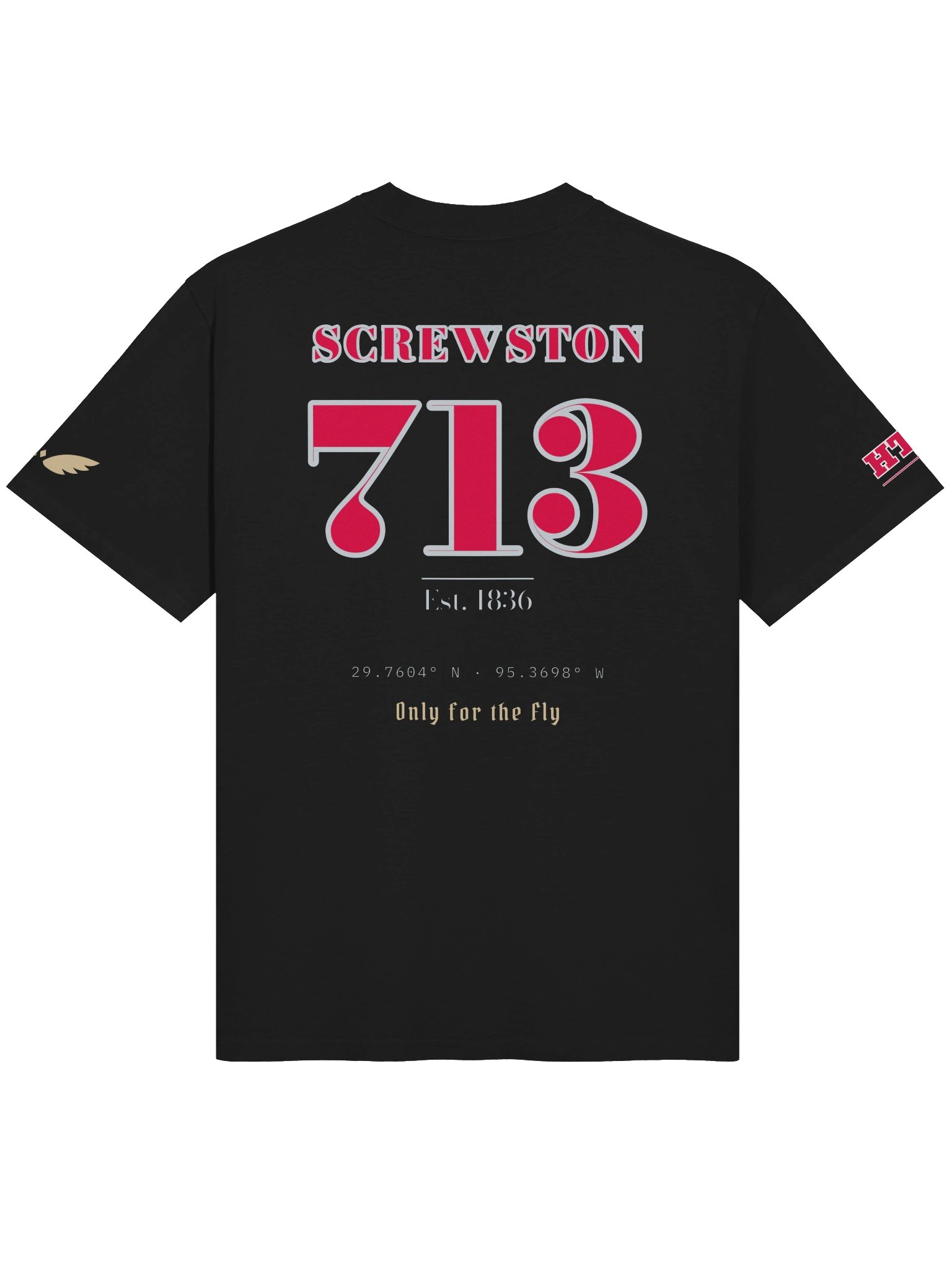 GAME DAY — Houston · Tee · Faded Black product image (2)