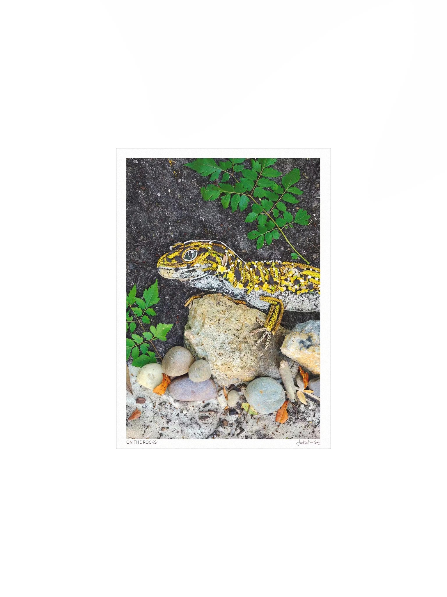 ON THE ROCKS | Fine Art Print product image (2)