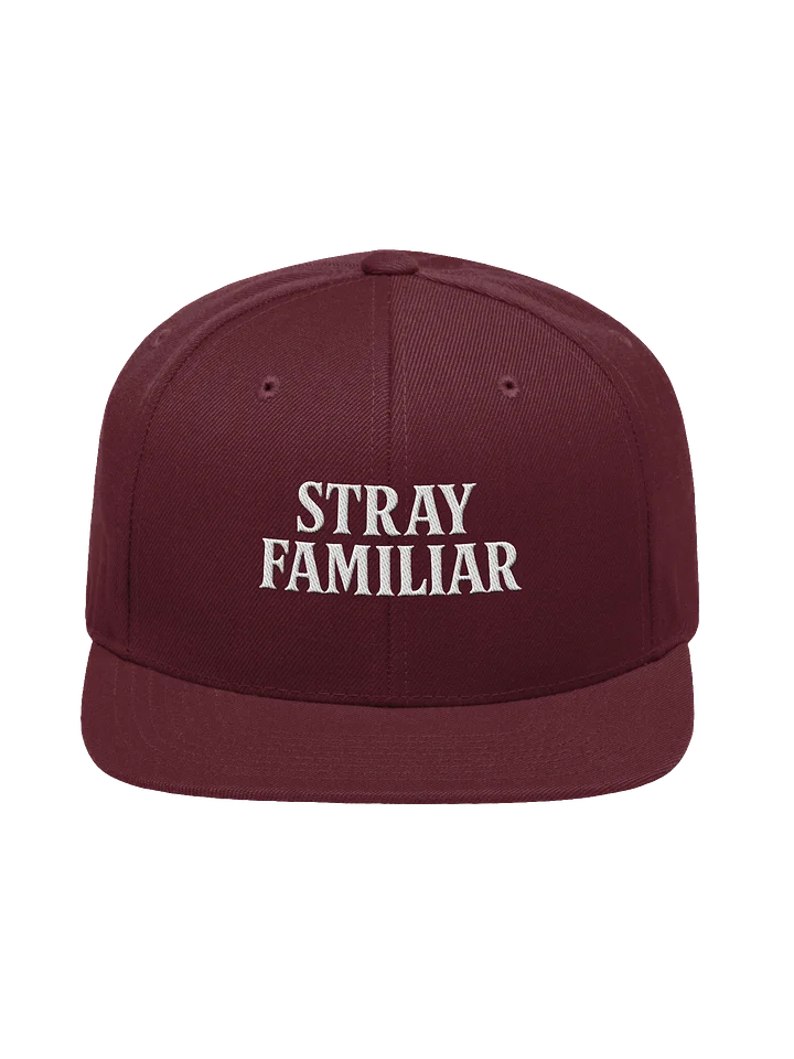 Stray Snapback product image (1)