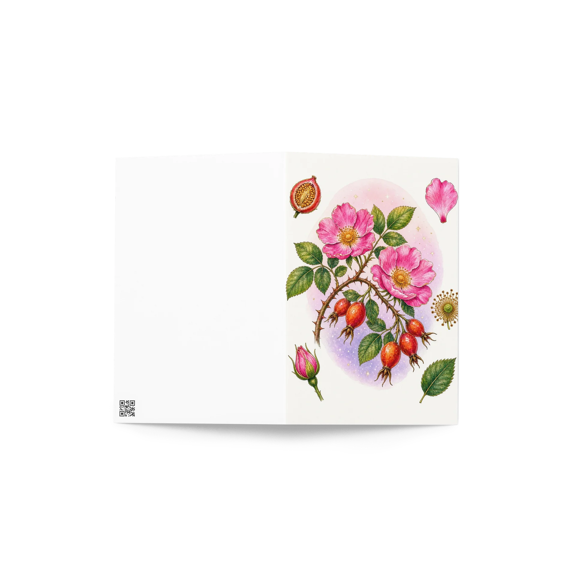 Modern Botanical Plate – Dog Rose & Rosehip Greeting Card product image (4)