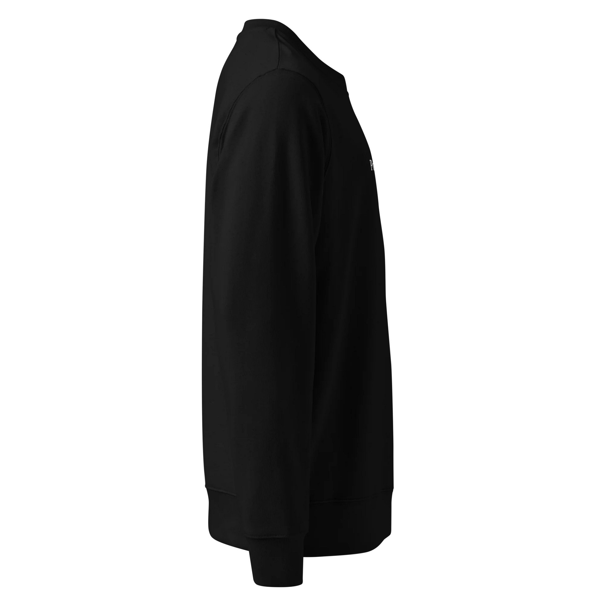Populists Sweatshirt product image (8)