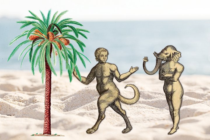 Day at the Beach product image (1)
