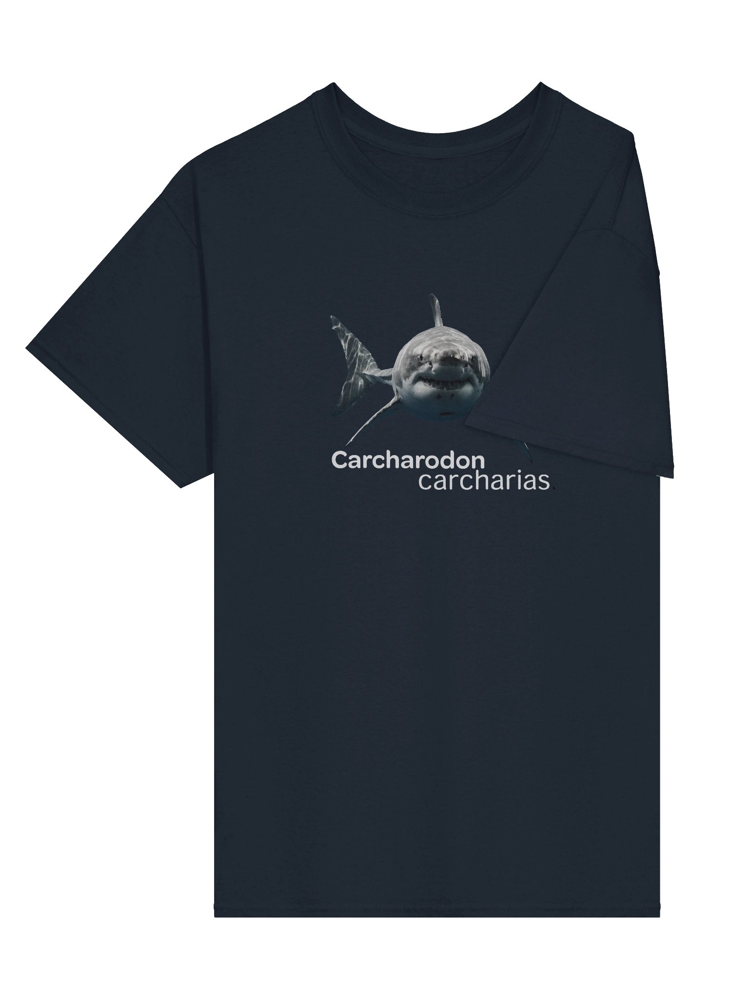 Carcharodon carcharias product image (3)