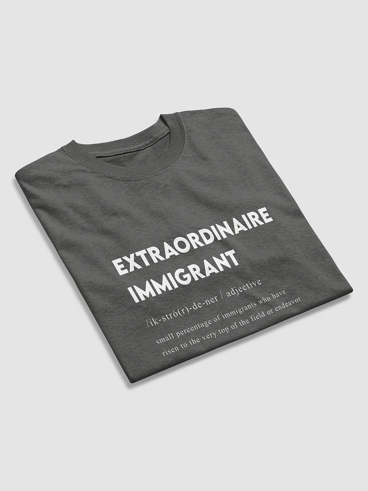 EXTRAORDINAIRE IMMIGRANT TSHIRT CHARCOL product image (2)