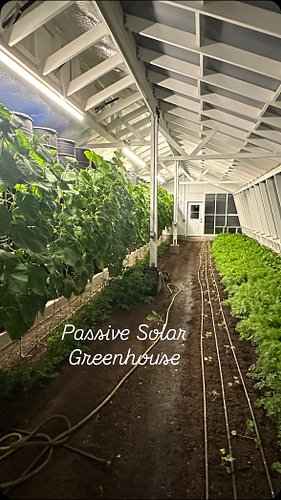 Passive solar greenhouse tour!