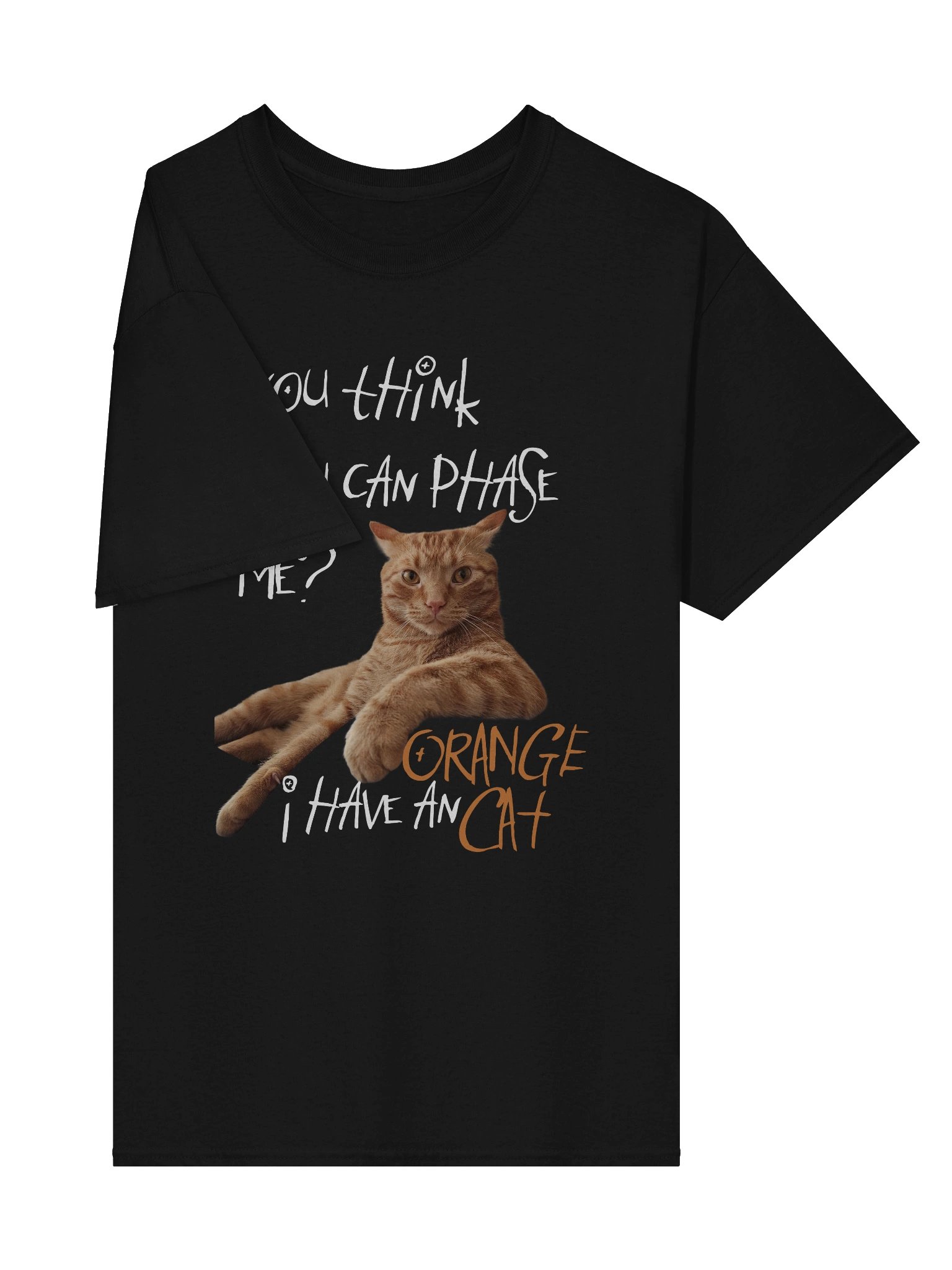 I HAVE AN ORANGE CAT TEE product image (28)