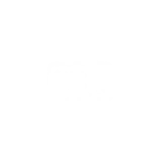 Vis