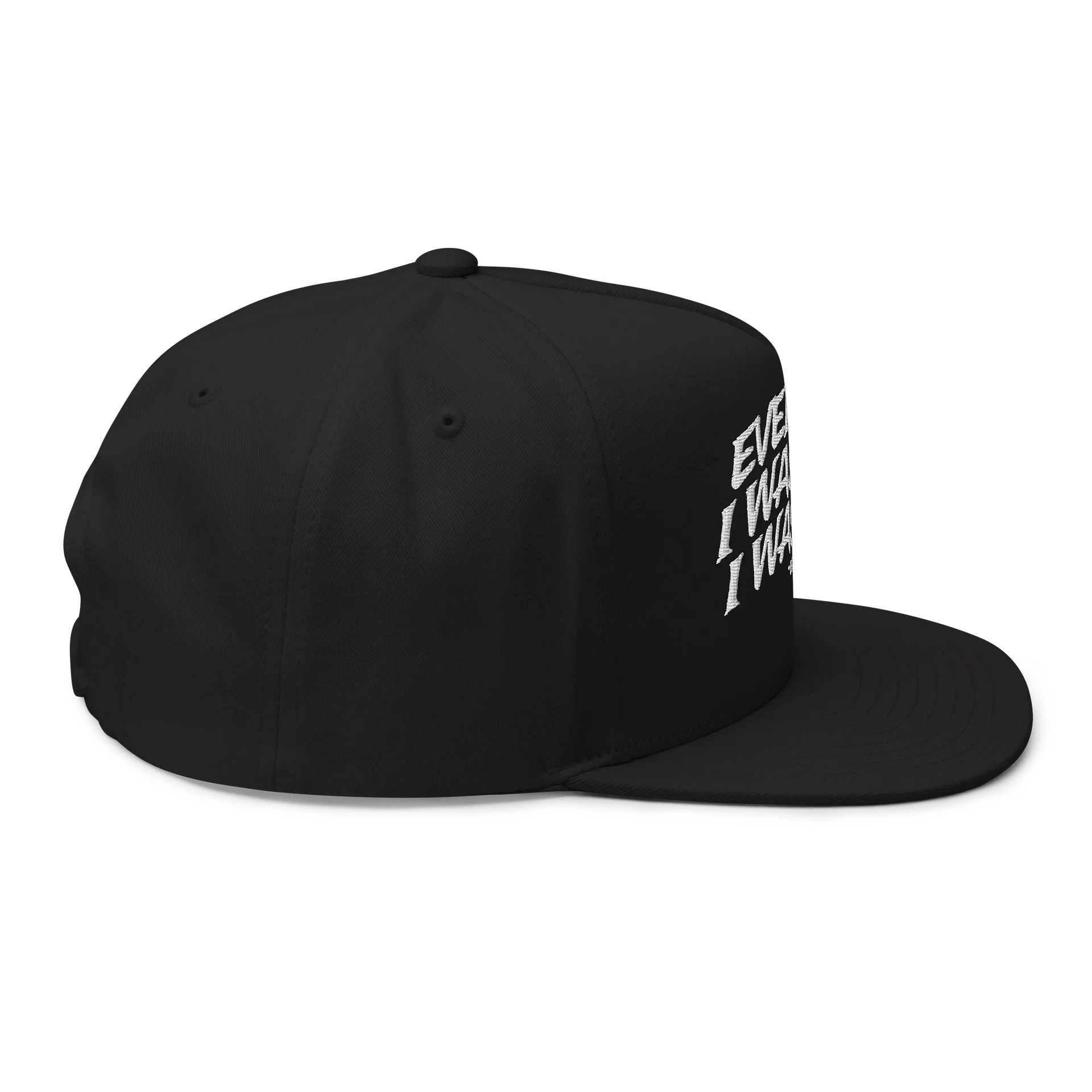 EVER SINCE - Embroidered SnapBack Flatbill product image (4)