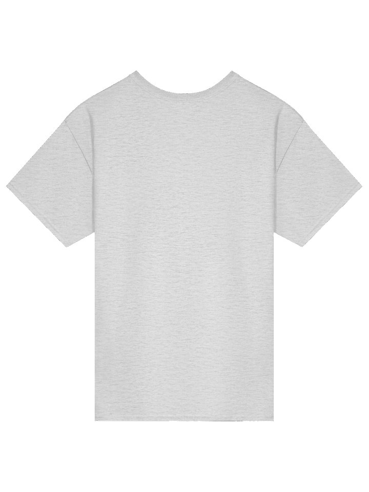 Copy of RG Bargy Transport T-Shirt Back Design product image (5)