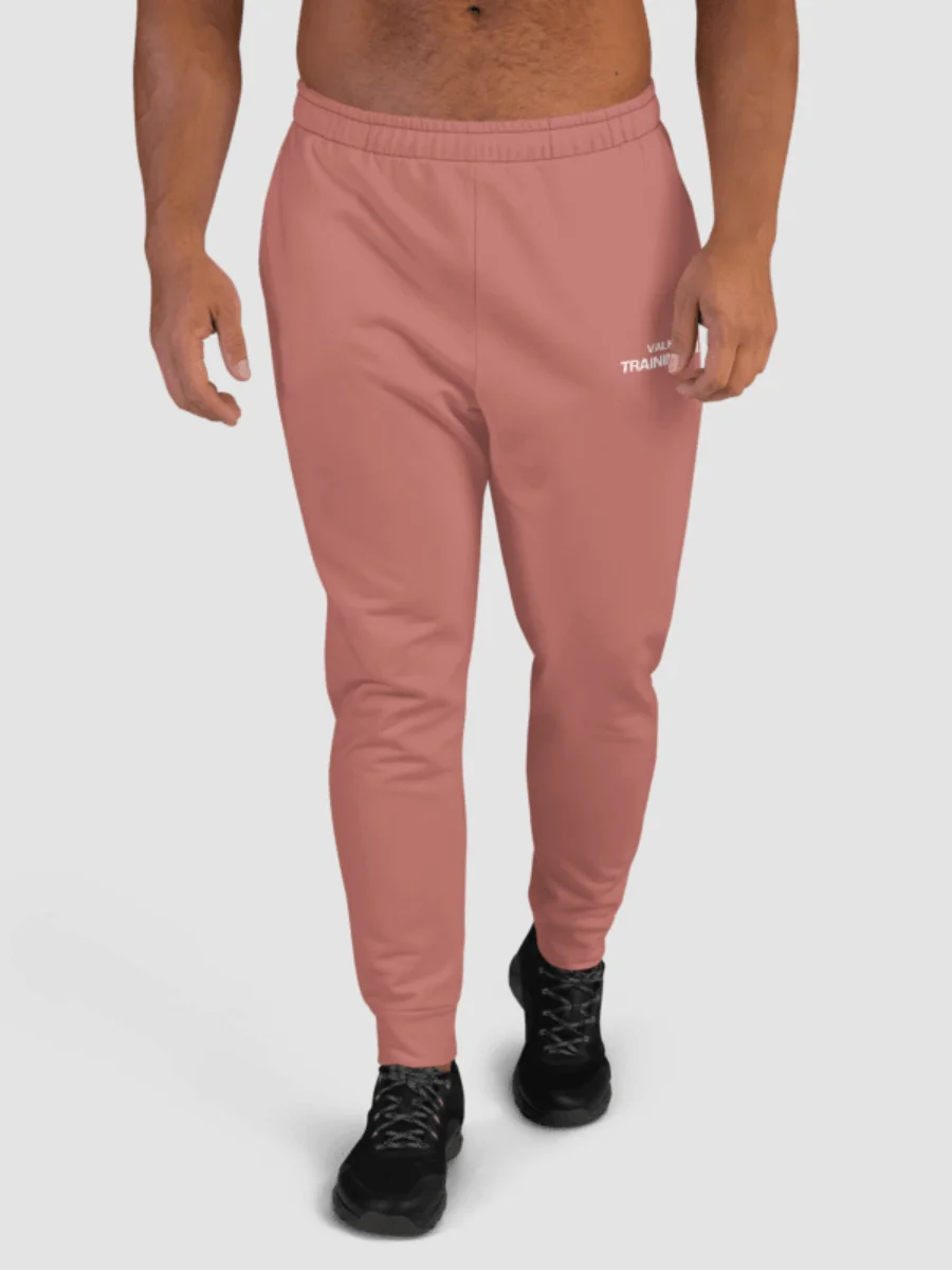 Training Club Joggers - Harvest Blaze product image (1)