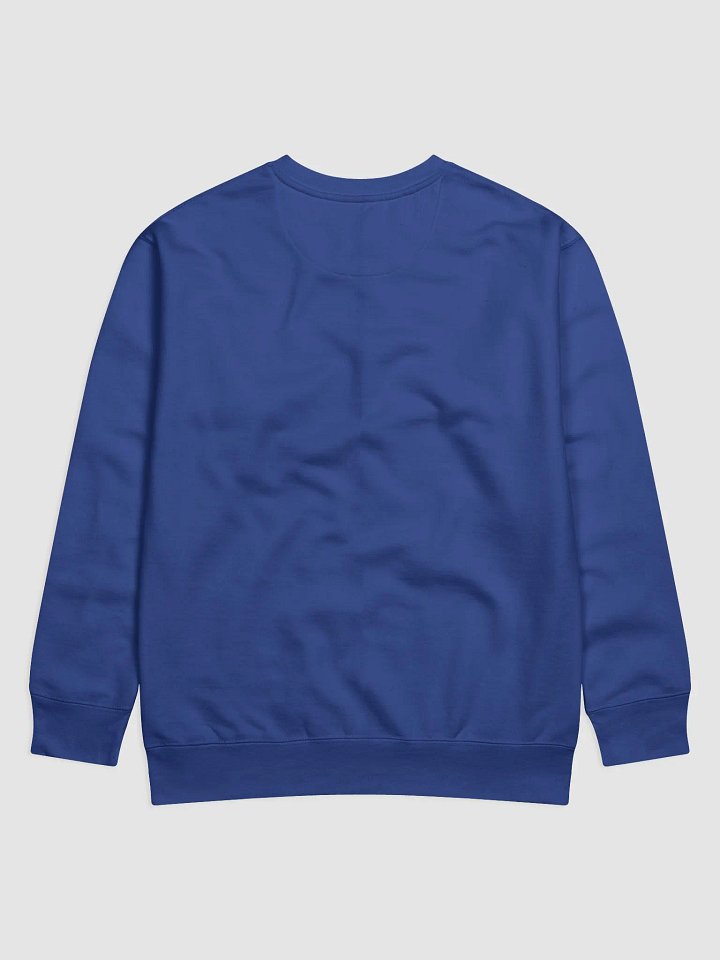 Astro-Squirrel Space Oddity Sweatshirt product image (2)