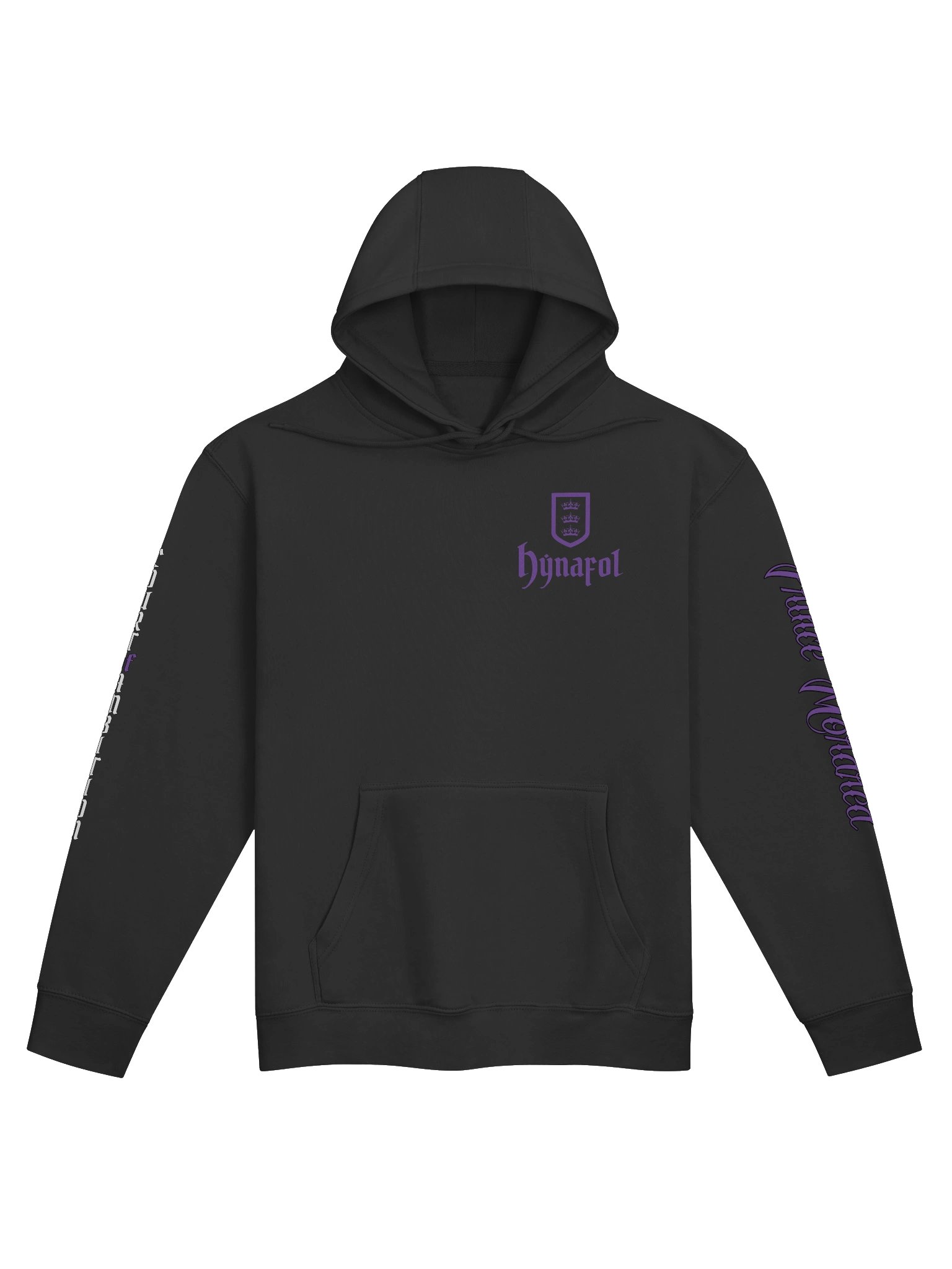 Court of Ambition Hoodie product image (4)