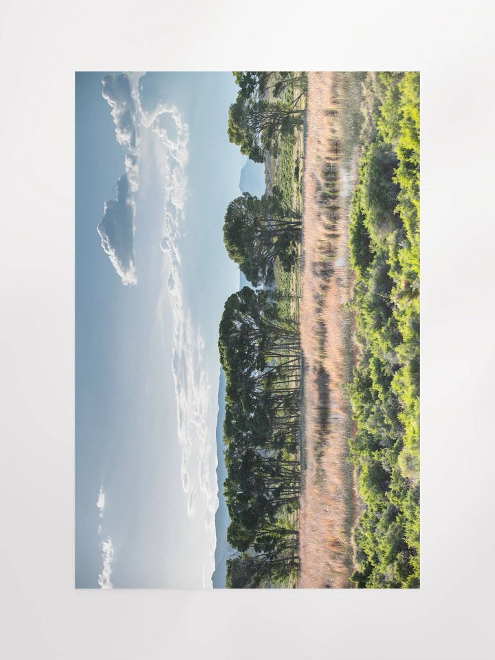 Print - Pahranagat Wildlife Refuge, Nevada product image (1)