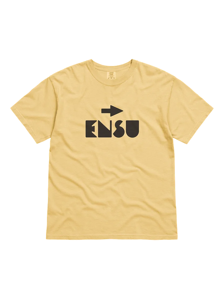 ENSU product image (1)