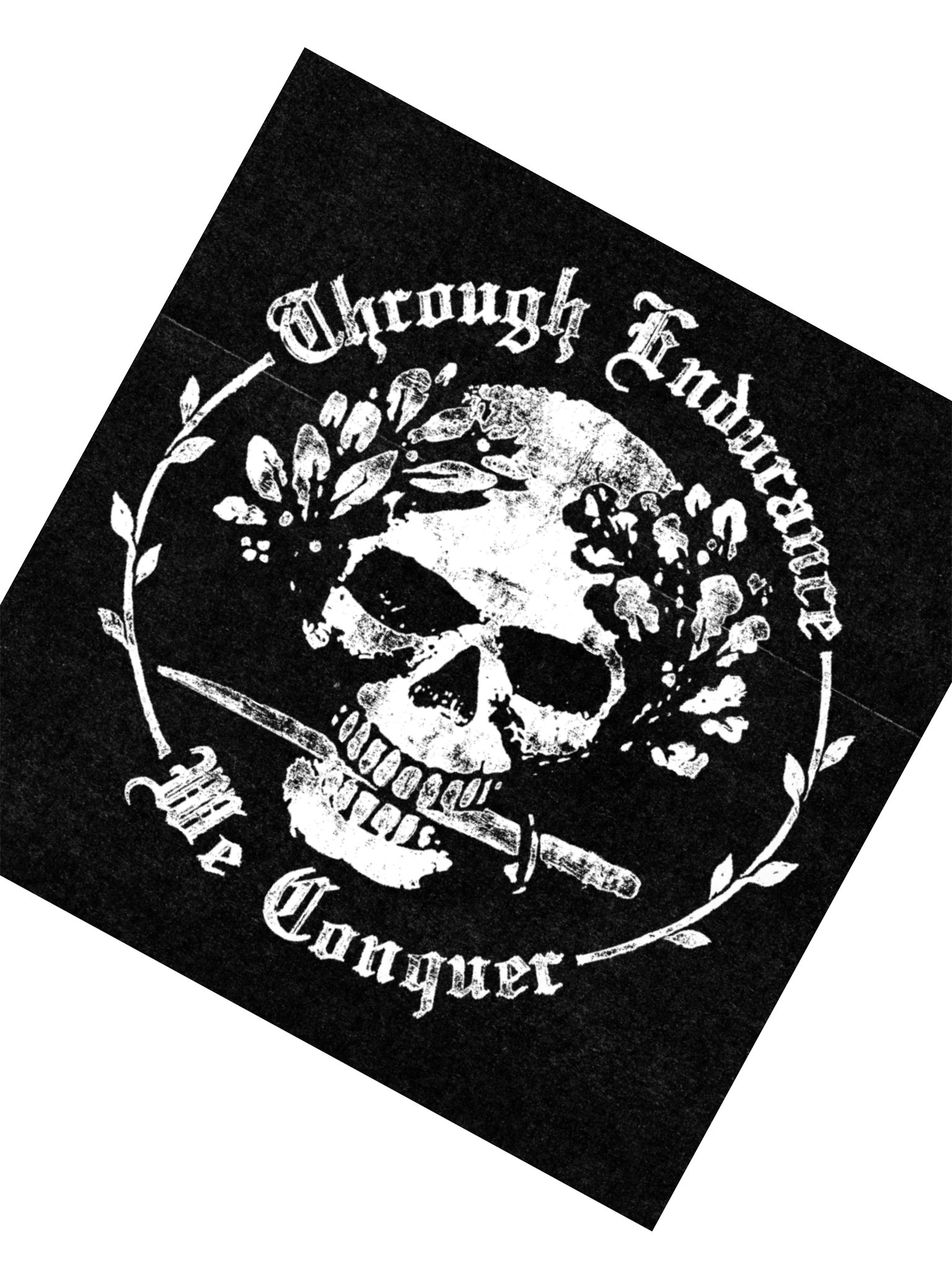 ENDURANCE LOGO STICKER product image (5)
